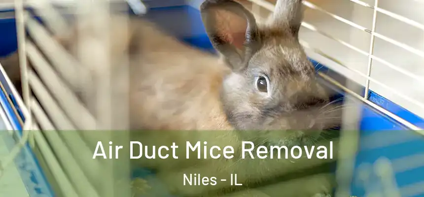  Air Duct Mice Removal Niles - IL