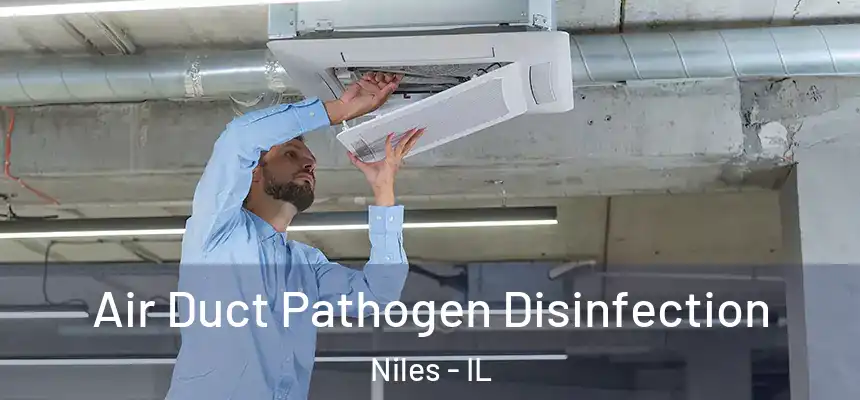  Air Duct Pathogen Disinfection Niles - IL