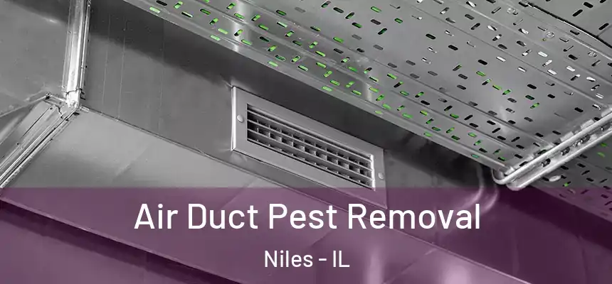 Air Duct Pest Removal Niles - IL