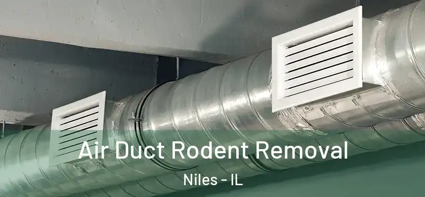 Air Duct Rodent Removal Niles - IL