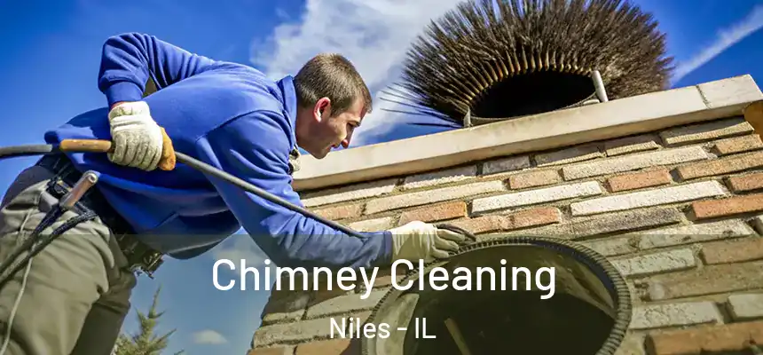 Chimney Cleaning Niles - IL