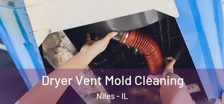  Dryer Vent Mold Cleaning Niles - IL