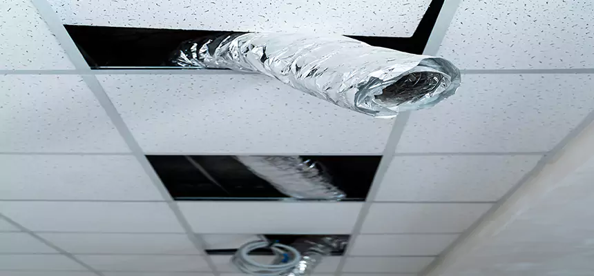 Our Air Duct Pet Hair Removal Services in Niles, IL