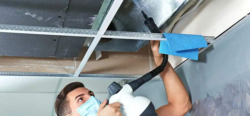 Our Air Duct Rodent Removal Services in Niles, IL