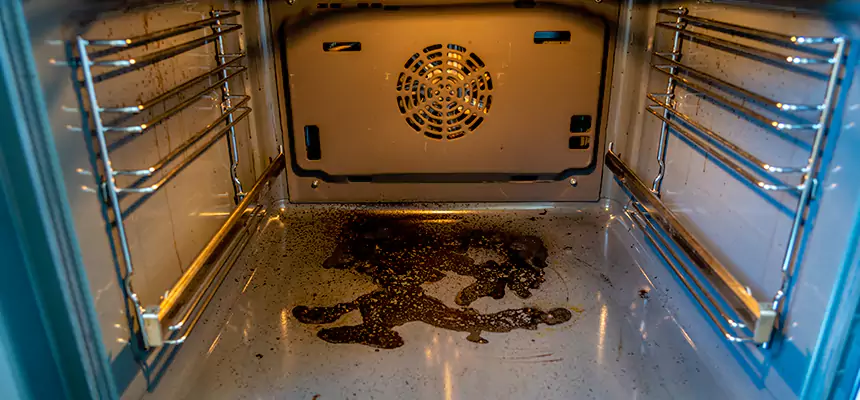 Our Dryer Vent Mold Cleaning Services in Niles, IL