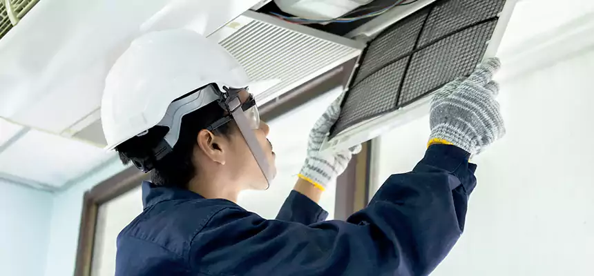 Our Mold & Mildew Removal from Air Ducts Services in Niles, IL