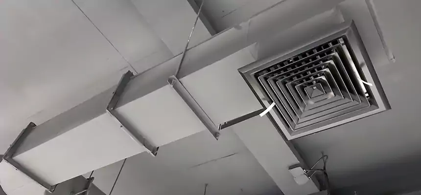 Our Pest Removal From Ducts Services in Niles, IL