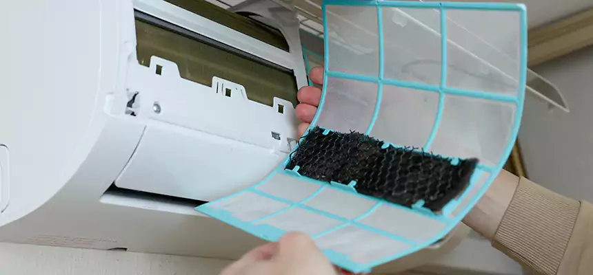 Gentle Ductwork Odor-Control Pet Dander Duct Cleaning in Niles, IL