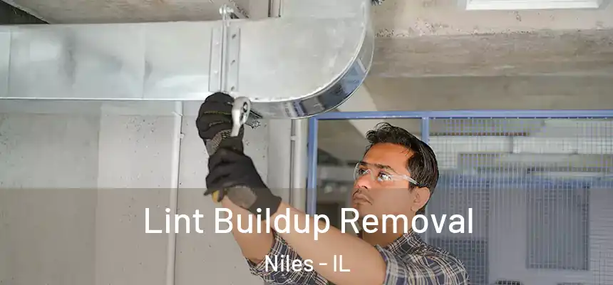  Lint Buildup Removal Niles - IL