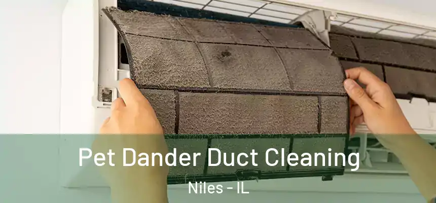 Pet Dander Duct Cleaning Niles - IL