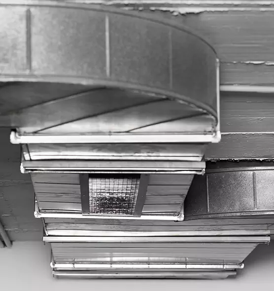 Professional Air Duct Pet Hair Removal in Niles, IL