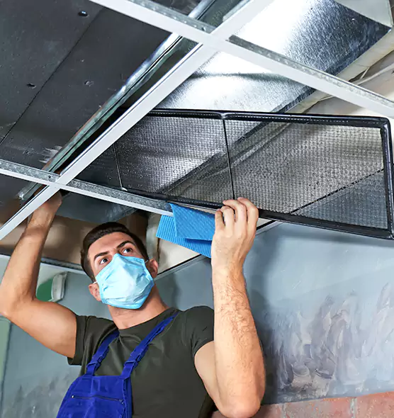 Professional Air Duct Pollen Cleaning in Niles, IL