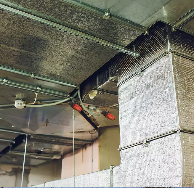 Why Homeowners & Businesses Trust Us in Niles, IL?