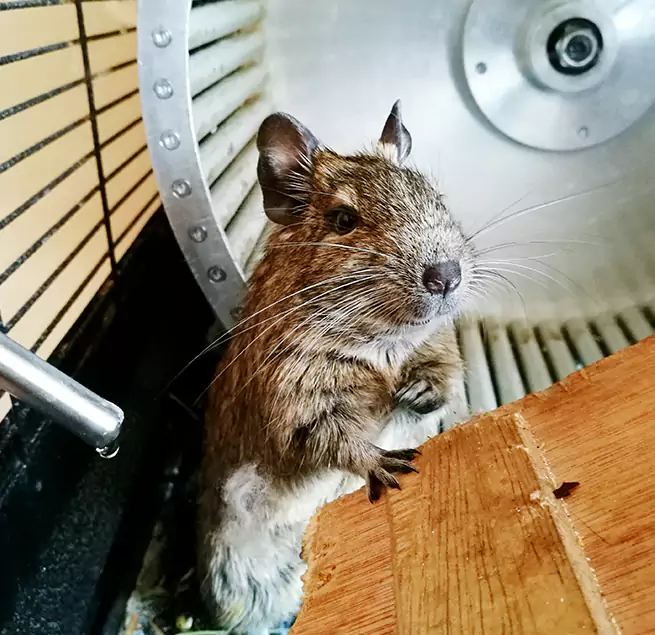 Why Homeowners & Businesses Trust Us Niles, IL