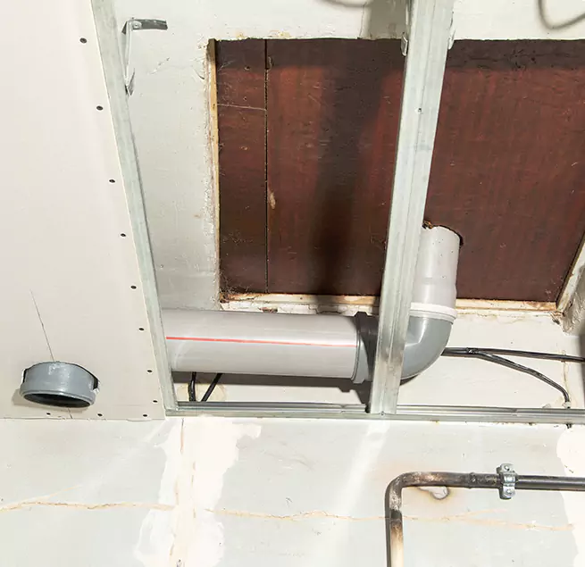 Why Homeowners & Businesses Trust Us in Niles, IL?