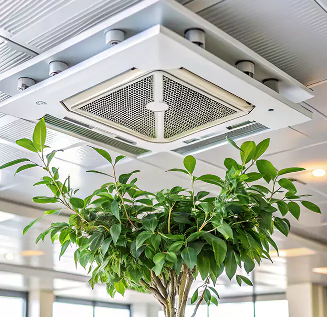 Why Homeowners & Businesses Trust Us in Niles, IL?