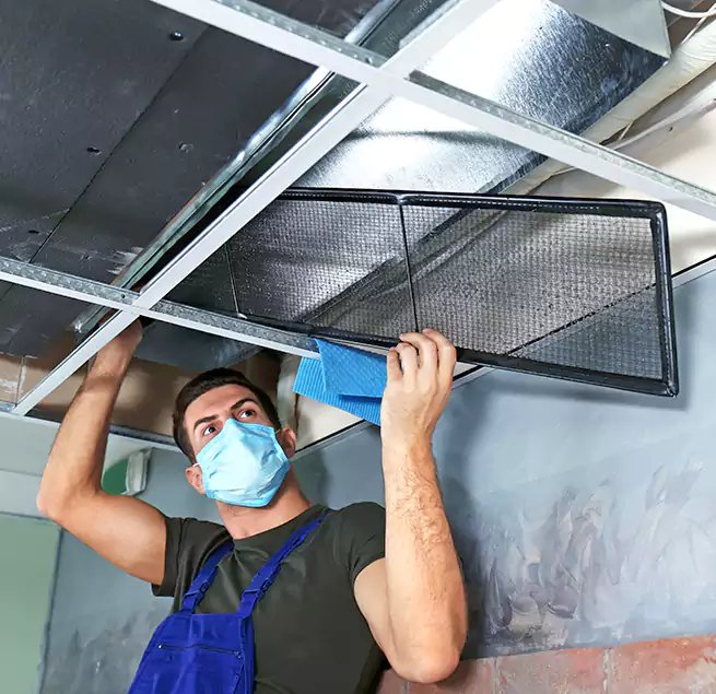 Why Homeowners Businesses Trust Us in Niles, IL